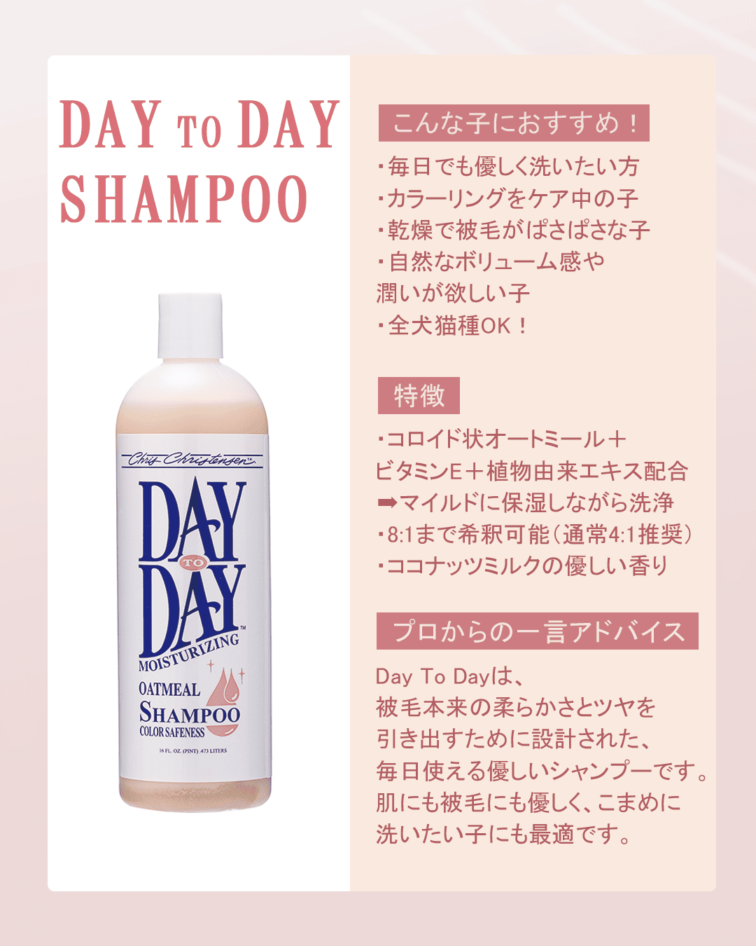 DAY TO DAY SHAMPOO デイトゥデイ モイスチャライジング シャンプー