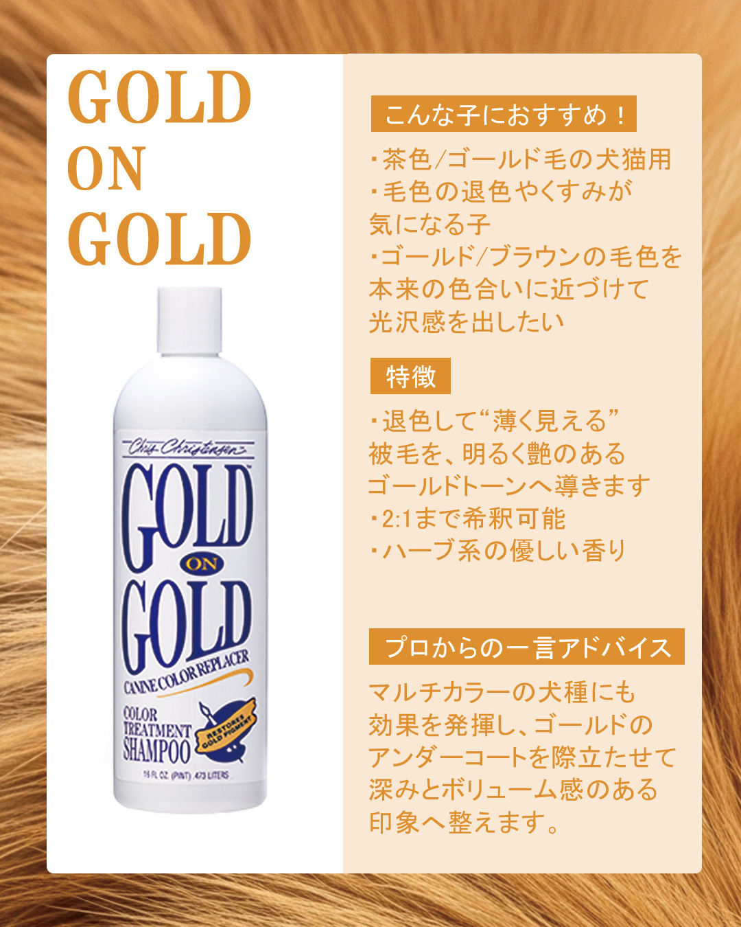 GOLD ON GOLD ゴールド オン ゴールド カラートリートメントシャンプー