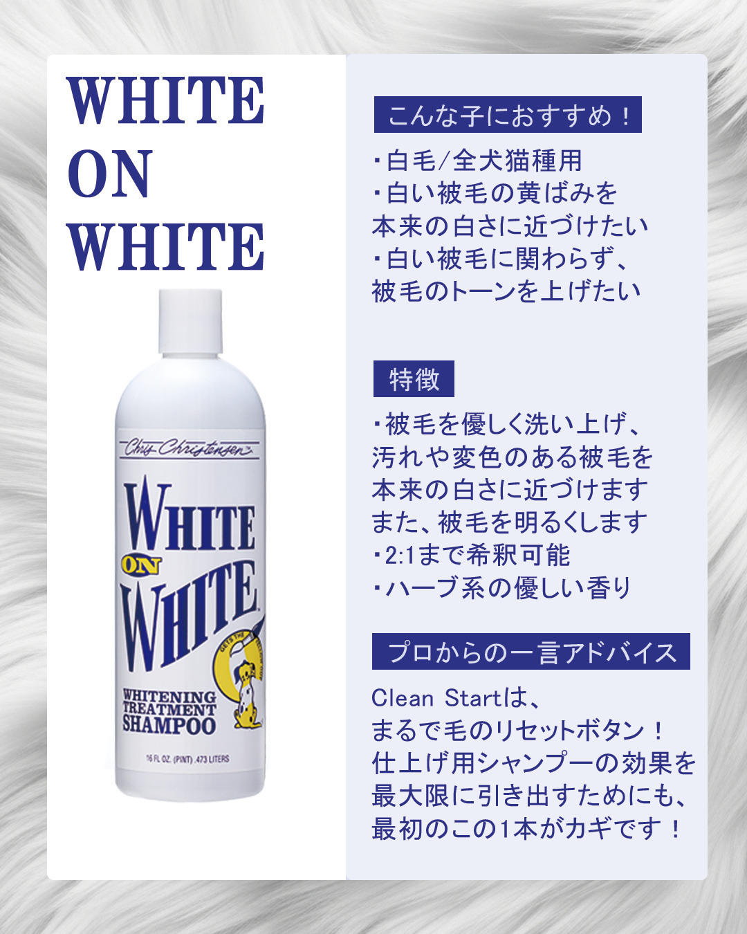 WHITE ON WHITE ホワイト オン ホワイト シャンプー
