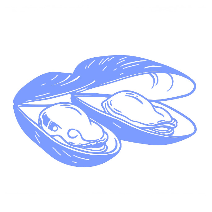 グリーンリップマッセル