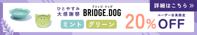 ブリッジドッグウィークリーセール