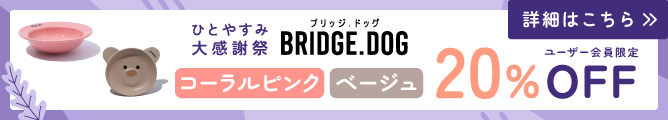 ブリッジドッグウィークリーセール②