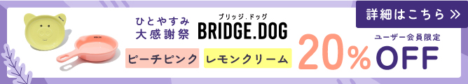 ブリッジドッグウィークリーセール④