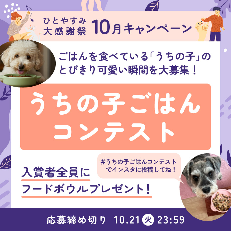 うちの子ごはんコンテスト