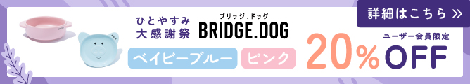 ブリッジドッグウィークリーセール11月⑤