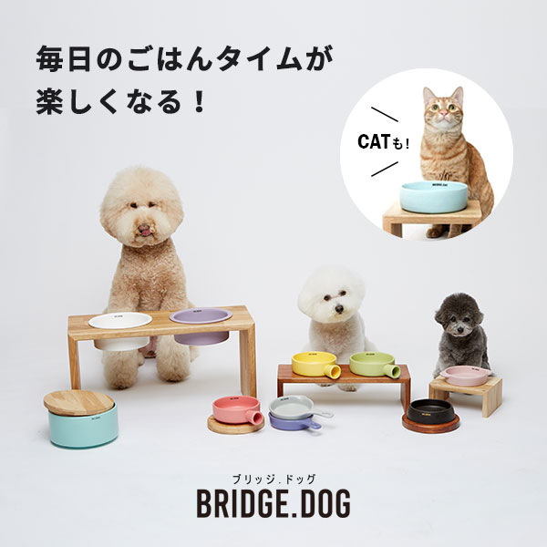 BRIDGE.DOG ブリッジドッグ 毎日のごはんタイムが楽しくなる！